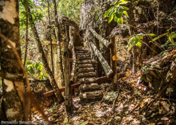 Parque da Chapada dos Veadeiros lança primeira trilha após o incêndio