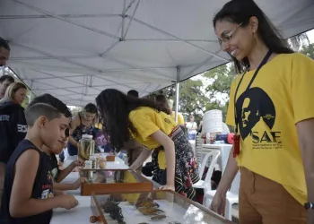 Museu Nacional mostra parte do acervo ao público depois de incêndio