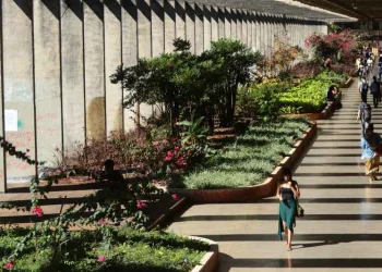 STF: servidores transferidos de cidade podem entrar em universidade pública