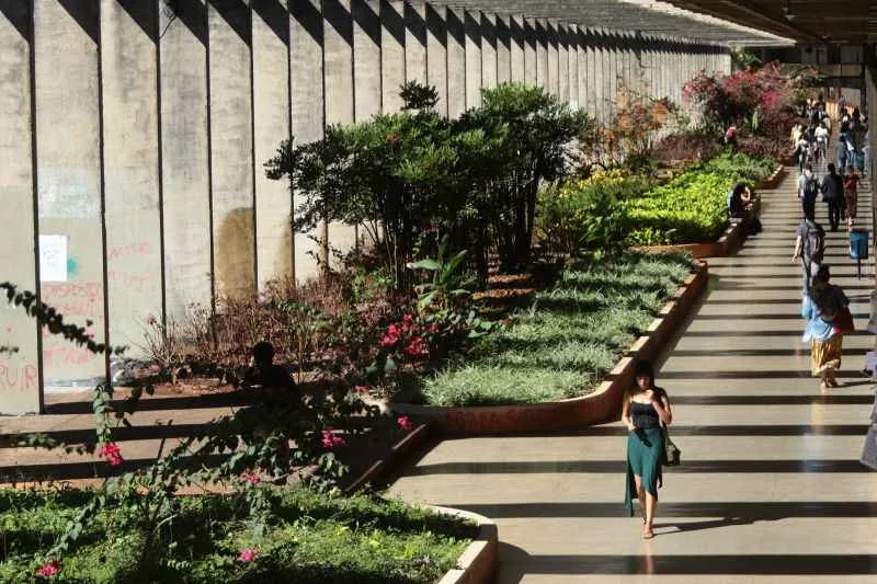 STF: servidores transferidos de cidade podem entrar em universidade pública