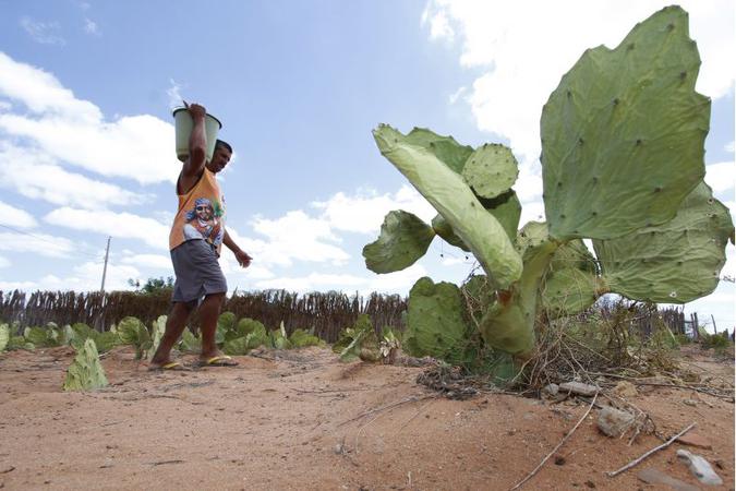 Em Pernambuco, cena comum a falta de água: cerca de dois milhőes de pessoas săo abastecidas por carros-pipa em oito estados(foto: Ricardo Fernandes/CB/D.A Press)