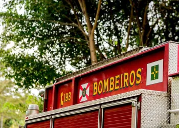 bombeiros salvam menino com bolinha de isopor no nariz