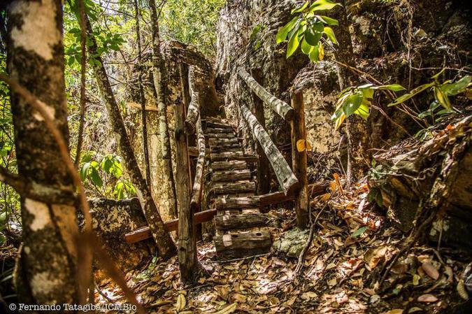 (foto: Fernando Tatagiba/ICMBIO)