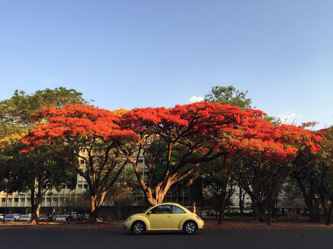 Para o início da primavera há uma grande massa de ar seco que predomina no Sudeste(foto: Zuleika de Souza/CB/D.A Press)
