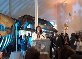 BNDES destina R$ 21,7 milhões para revitalização do Museu Nacional