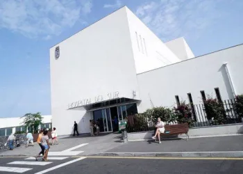 Médicos acham tartaruga morta na vagina de paciente