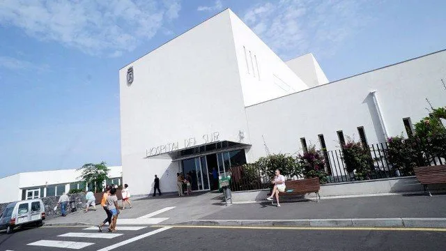 Médicos acham tartaruga morta na vagina de paciente