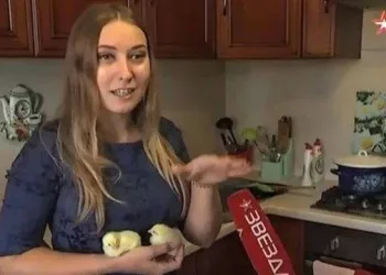 Mulher volta de férias e acha pintinhos saindo de ovos comprados em supermercado