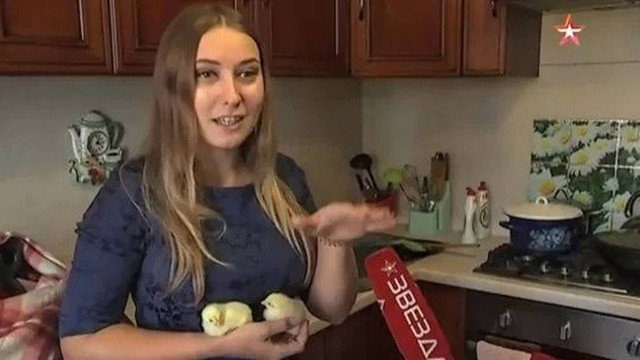 Mulher volta de férias e acha pintinhos saindo de ovos comprados em supermercado