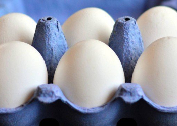 Ovo é considerado um aliado da alimentação saudável