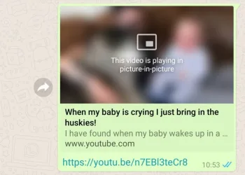 WhatsApp Beta para Android agora reproduz vídeos sem sair do app