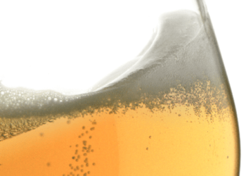 BEBER CERVEJA É MAIS EFICAZ CONTRA RUGAS DO QUE CREMES ANTI-IDADE; DIZ ESTUDO