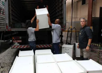 NPI doa móveis para ajudar na recuperação do Museu Nacional