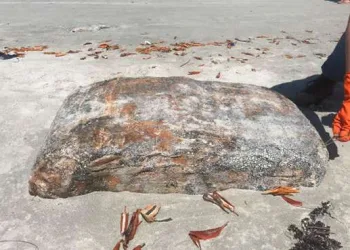 Quinze pacotes misteriosos são encontrados em praias de Pernambuco