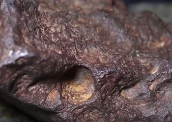 Meteorito que era usado como peso de porta pode valer mais de R$ 385 mil