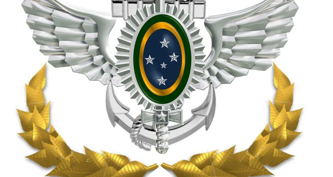 TEM SAUDADE DO GOVERNO MILITAR?? LEIAM E OPINEM…