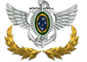 TEM SAUDADE DO GOVERNO MILITAR?? LEIAM E OPINEM…
