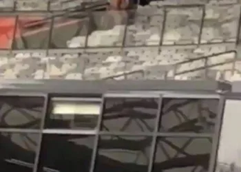 Casal é flagrado fazendo sexo no estadio do Mineirão e a torcida vai a loucura!!!