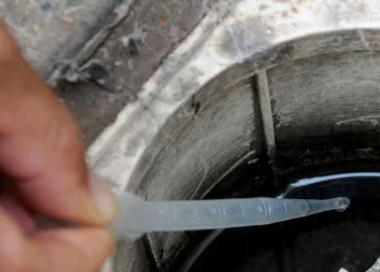 Casos de dengue aumentam em 23% durante temporada de chuva em Goiás