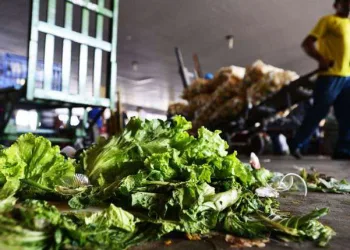 Ceasa terá oficina de combate ao desperdício de alimentos no sábado