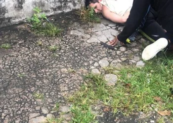 HOMEM QUE MATOU A EX MULHER COM 40 FACADAS É PRESO NO RJ!!