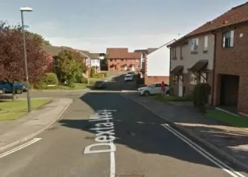 Filhos limpam casa de mãe falecida e acabam tendo uma surpresa macabra