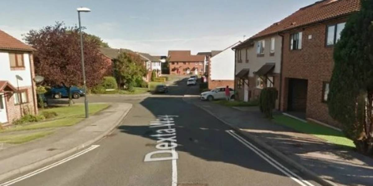 Filhos limpam casa de mãe falecida e acabam tendo uma surpresa macabra