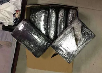 Mulher é presa com 6kg de skank dentro da mala no aeroporto de Brasília