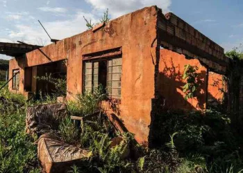 Natureza luta para ressurgir da lama três anos após tragédia de Mariana