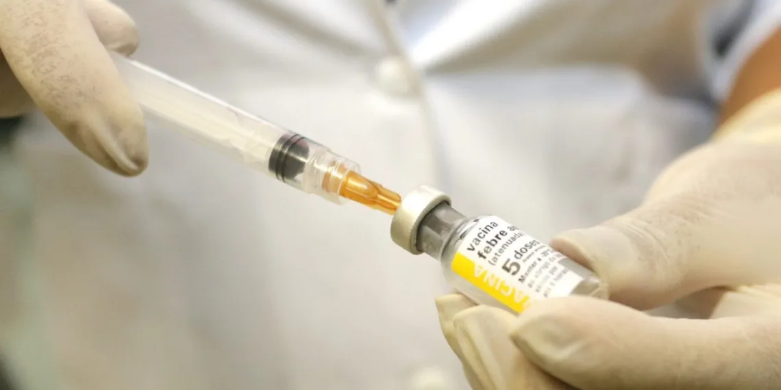 Atenção!! Risco de surto de febre amarela no Rio