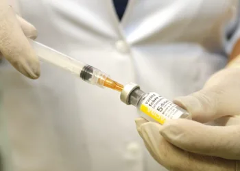 Atenção!! Risco de surto de febre amarela no Rio