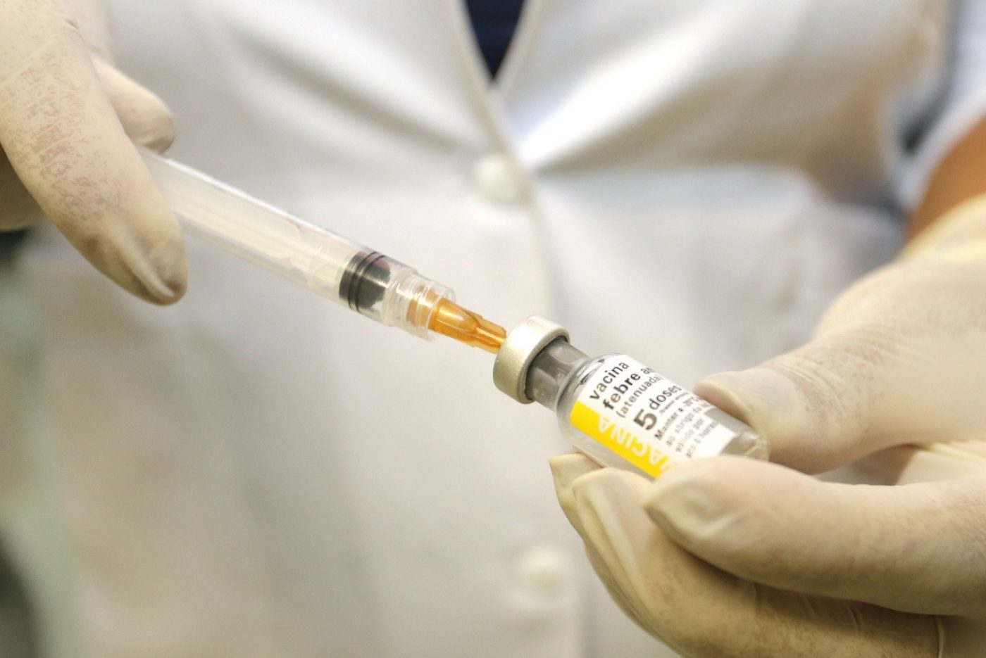 Atenção!! Risco de surto de febre amarela no Rio