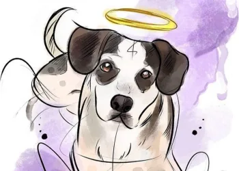Caso Carrefour: morte de cachorro mobiliza ONGs, famosos e internautas