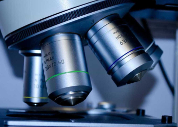 Você é obeso? tem depressão? Leia…