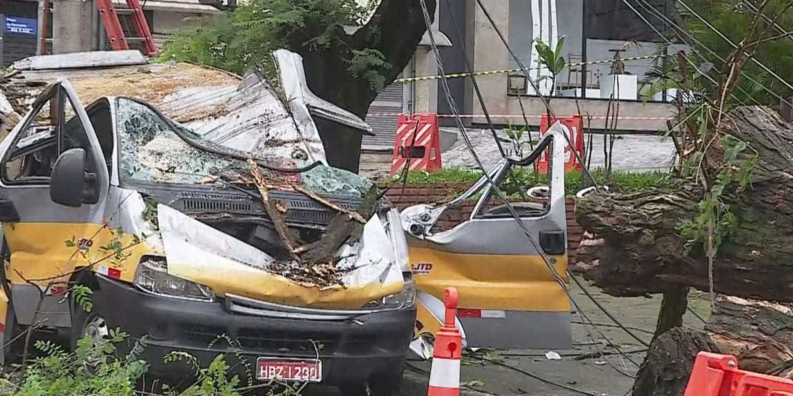 ‘Tira as crianças’, gritou motorista de van escolar antes de morrer