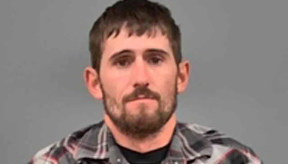 Juiz manda caçador ilegal assistir ‘Bambi’ uma vez por mês nos EUA