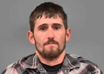 Juiz manda caçador ilegal assistir ‘Bambi’ uma vez por mês nos EUA