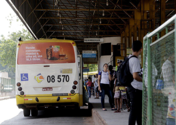Mulher surta em ônibus e agride jovem: “você está me sufocando com sua gordura!”
