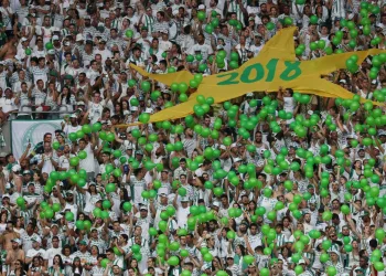 Fim do Brasileirão: veja a classificação final dos times na competição
