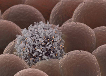 Israel cria droga para curar câncer de cérebro