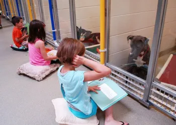 Crianças leem para cães que sofreram maus tratos e os ajudam a interagir com humanos