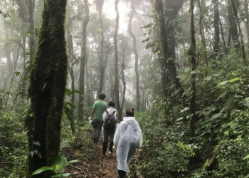 Megatrilha de 3 mil km vai conectar Rio de Janeiro ao Rio Grande do Sul pela mata atlântica