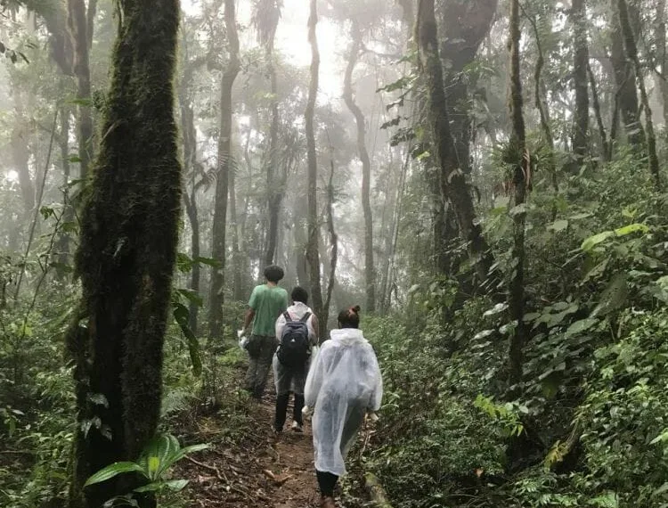 Megatrilha de 3 mil km vai conectar Rio de Janeiro ao Rio Grande do Sul pela mata atlântica
