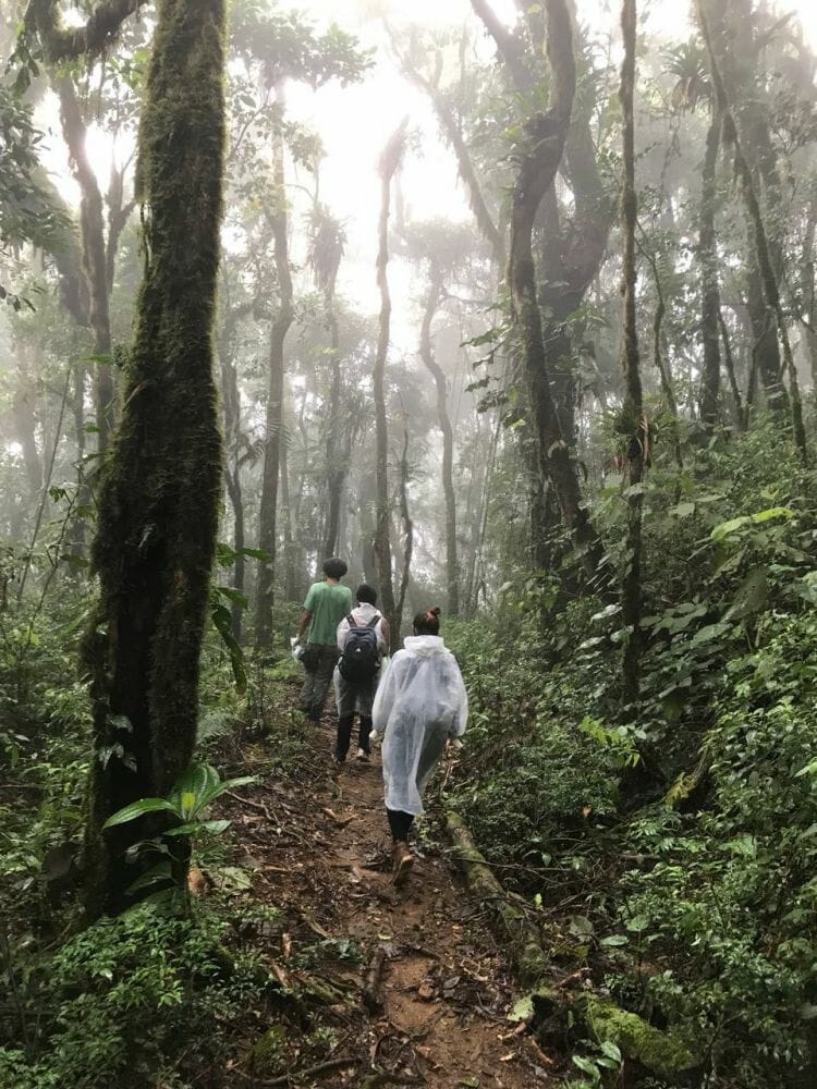 Megatrilha de 3 mil km vai conectar Rio de Janeiro ao Rio Grande do Sul pela mata atlântica
