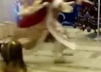 Papai Noel sofre infarto e morre na frente de crianças em escola