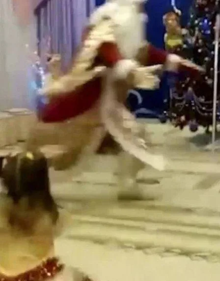 Papai Noel sofre infarto e morre na frente de crianças em escola