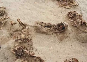 Pesquisadores descobrem no Peru vestígios do maior sacrifício de crianças da história