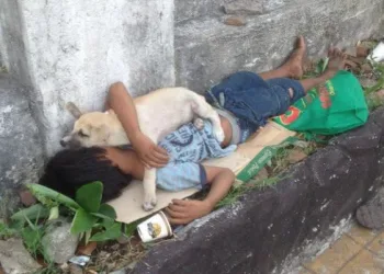 Criança adota um cão de rua para evitar estar sozinho e sua amizade comove milhares de pessoas