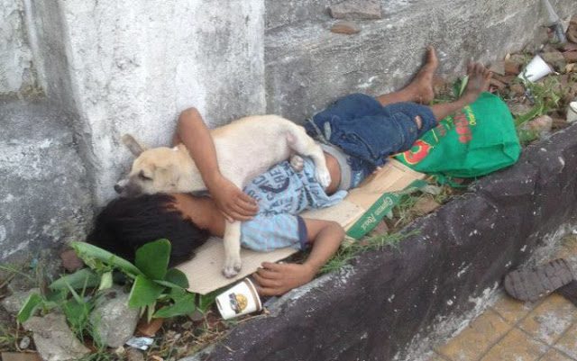 Criança adota um cão de rua para evitar estar sozinho e sua amizade comove milhares de pessoas