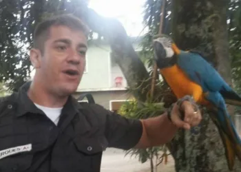 Polícia prende suspeito de matar PM no RJ